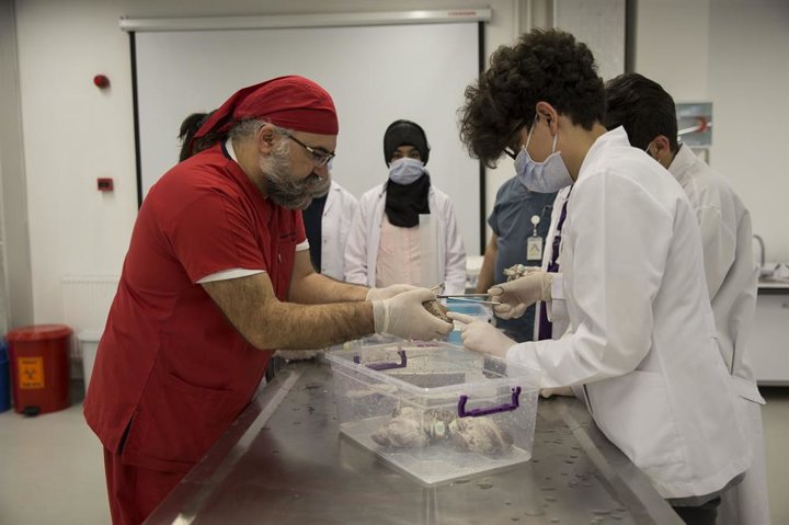 Lise öğrencilerine hayvan dokusuyla eğitim - 1