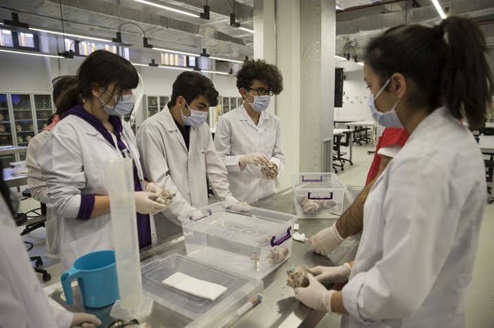 Lise öğrencilerine hayvan dokusuyla eğitim - 10