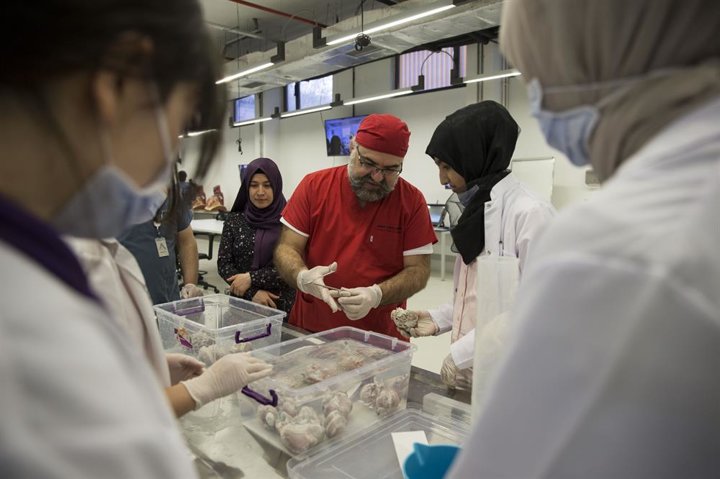 Lise öğrencilerine hayvan dokusuyla eğitim - 11