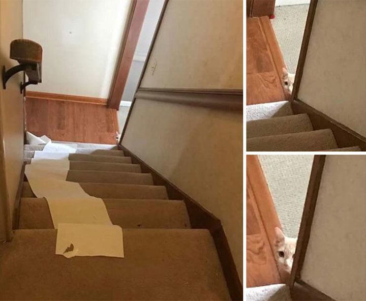 Suçüstü yakalandılar - 2