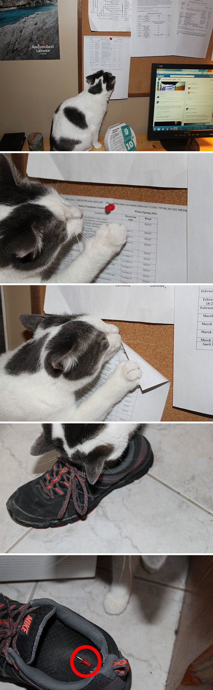 Suçüstü yakalandılar - 5