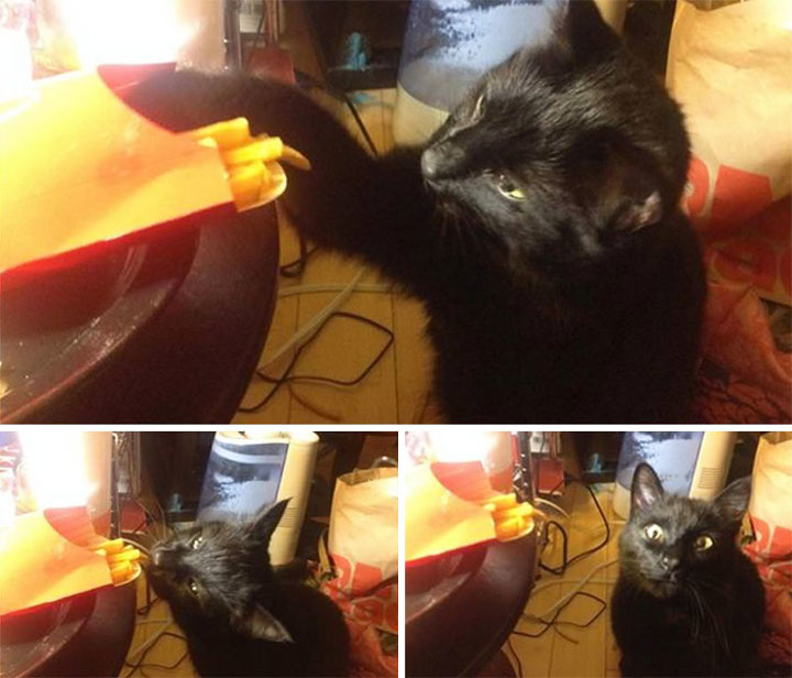 Suçüstü yakalandılar - 6