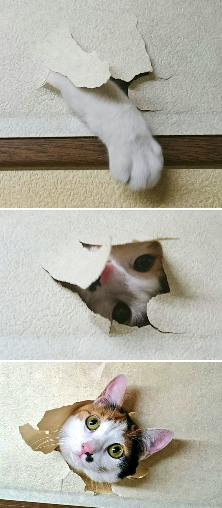 Suçüstü yakalandılar - 8