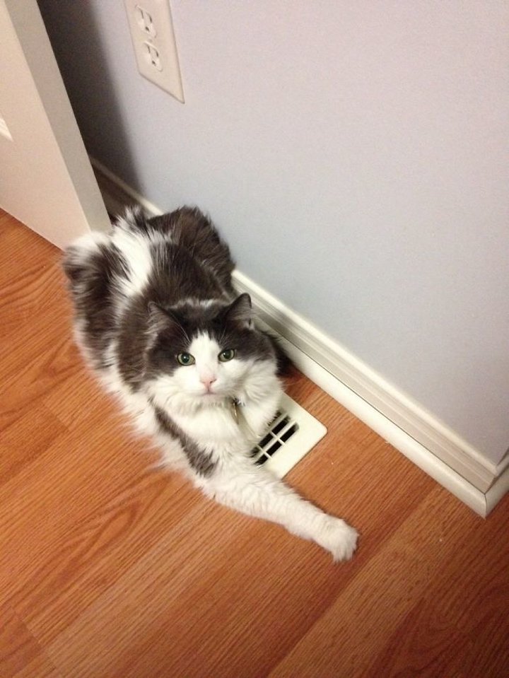 Suçüstü yakalandılar - 0