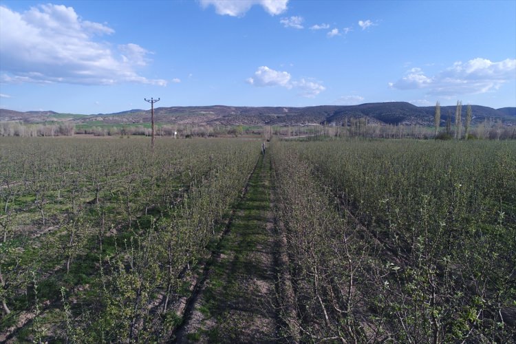 Köylüler bir araya gelip işsizliği çözdüler - 1