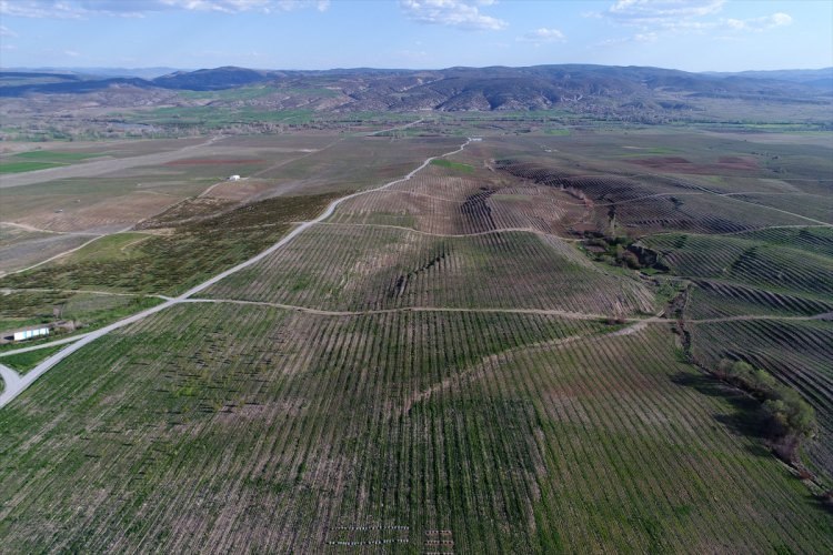 Köylüler bir araya gelip işsizliği çözdüler - 2