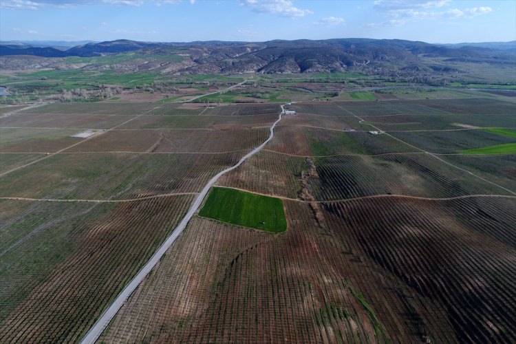 Köylüler bir araya gelip işsizliği çözdüler - 3