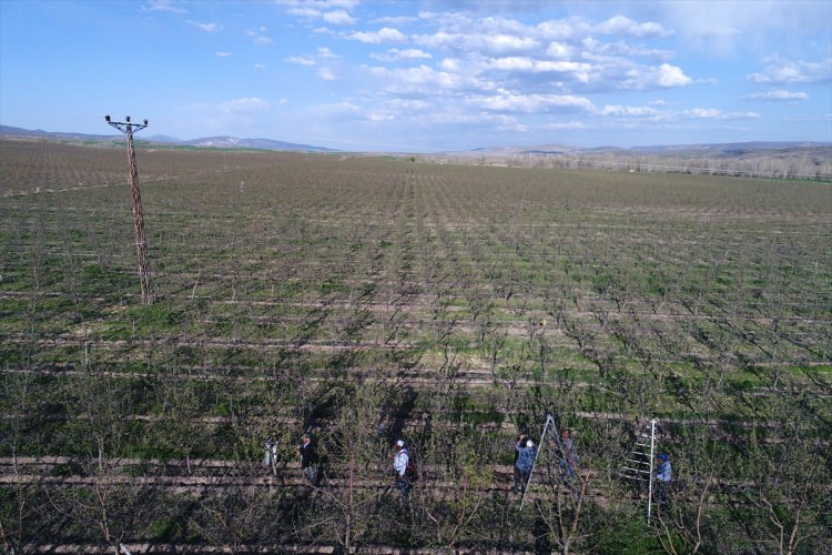 Köylüler bir araya gelip işsizliği çözdüler - 4