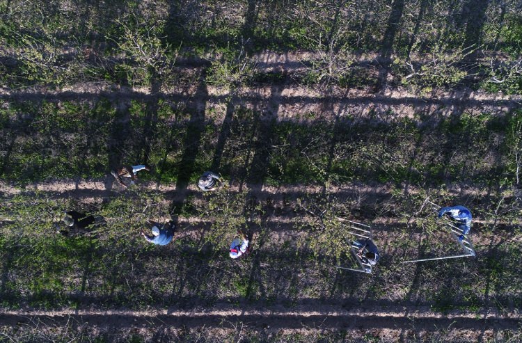 Köylüler bir araya gelip işsizliği çözdüler - 5