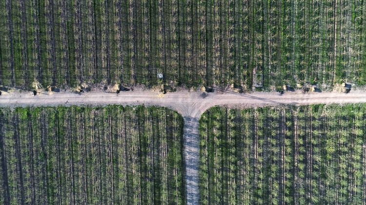 Köylüler bir araya gelip işsizliği çözdüler - 6