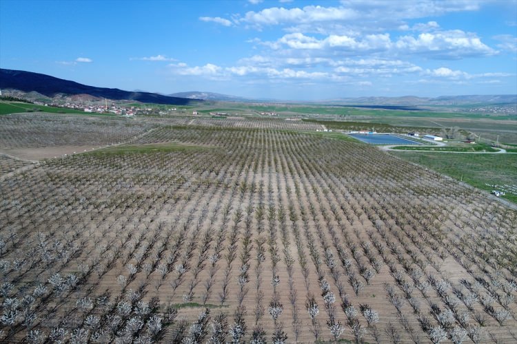 Köylüler bir araya gelip işsizliği çözdüler - 7