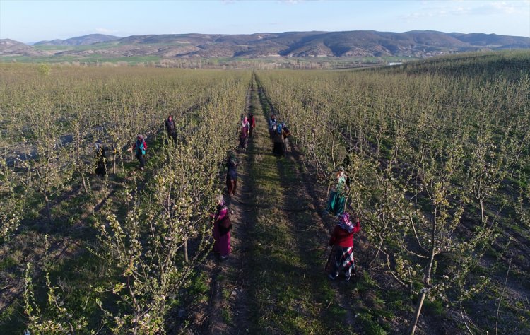 Köylüler bir araya gelip işsizliği çözdüler - 8