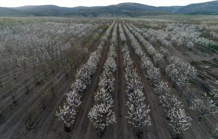 Köylüler bir araya gelip işsizliği çözdüler - 9