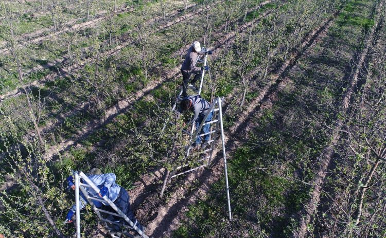 Köylüler bir araya gelip işsizliği çözdüler - 10