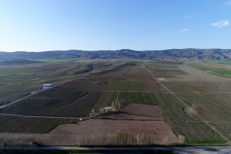 Köylüler bir araya gelip işsizliği çözdüler - 11