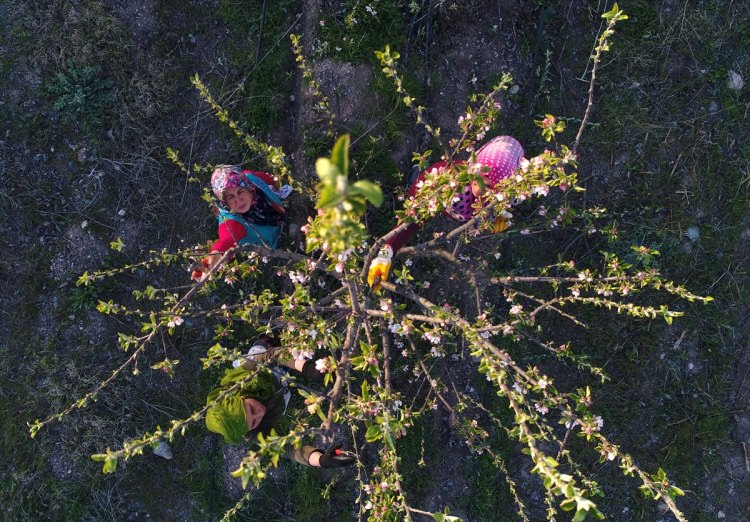 Köylüler bir araya gelip işsizliği çözdüler - 12