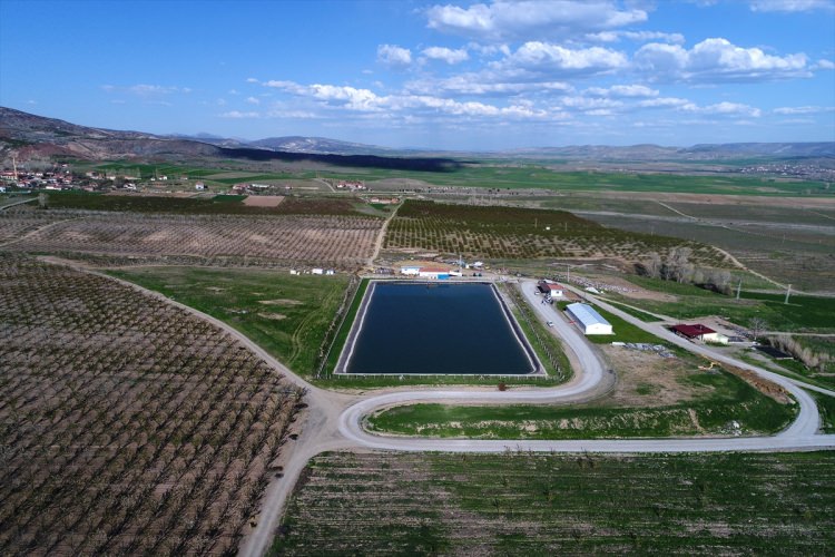 Köylüler bir araya gelip işsizliği çözdüler - 13