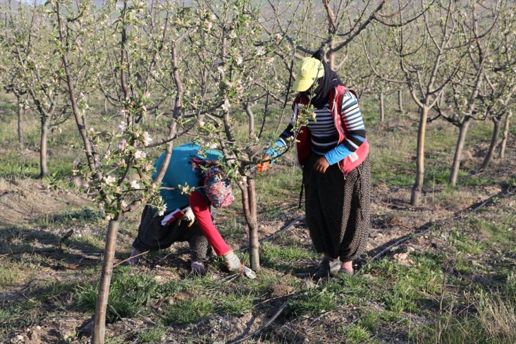 Köylüler bir araya gelip işsizliği çözdüler - 14
