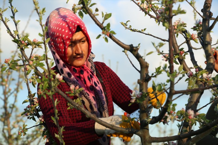 Köylüler bir araya gelip işsizliği çözdüler - 15