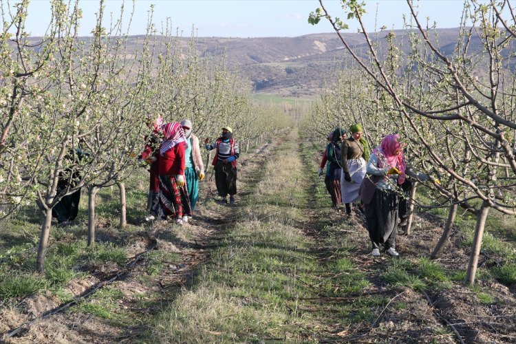 Köylüler bir araya gelip işsizliği çözdüler - 16
