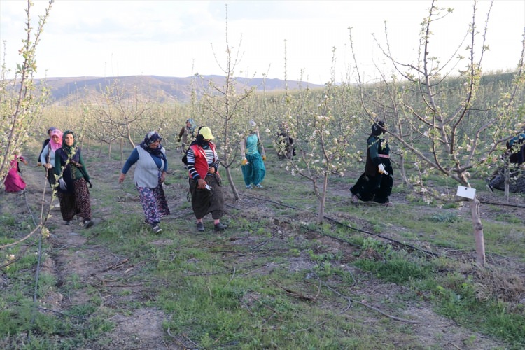 Köylüler bir araya gelip işsizliği çözdüler - 17