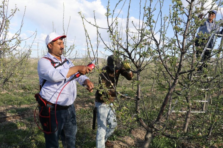 Köylüler bir araya gelip işsizliği çözdüler - 18