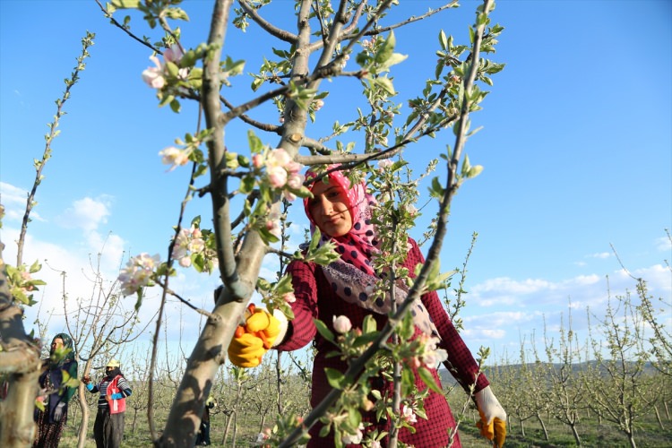Köylüler bir araya gelip işsizliği çözdüler - 19