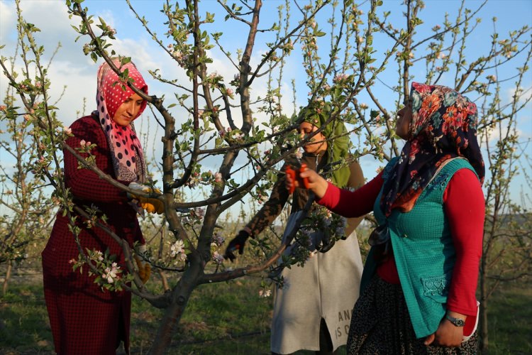 Köylüler bir araya gelip işsizliği çözdüler - 20