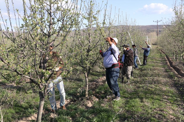 Köylüler bir araya gelip işsizliği çözdüler - 21
