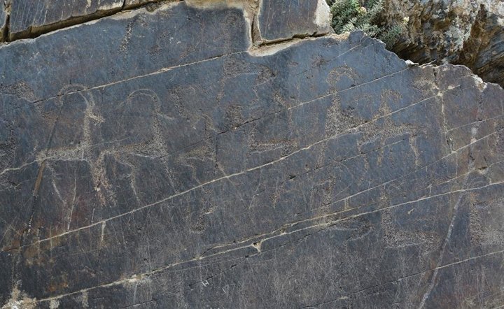 9 bin yıllık çizimler tarihe ışık tutuyor - 5