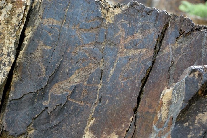 9 bin yıllık çizimler tarihe ışık tutuyor - 6