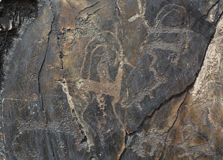 9 bin yıllık çizimler tarihe ışık tutuyor - 10