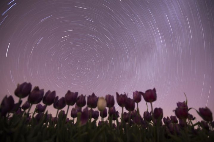 Gündüz ayrı gece ayrı büyülüyor - 1