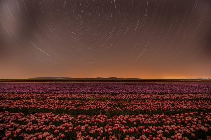 Gündüz ayrı gece ayrı büyülüyor - 2