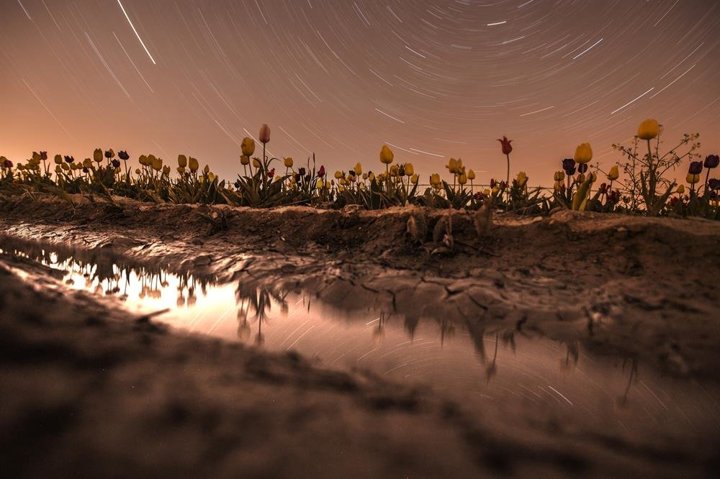 Gündüz ayrı gece ayrı büyülüyor - 3