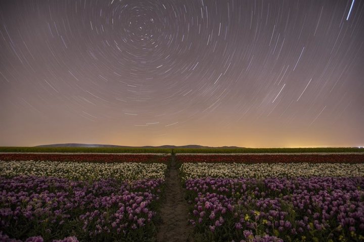 Gündüz ayrı gece ayrı büyülüyor - 5