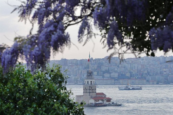 Erguvanlar turistlerin ilgi odağı oldu - 1