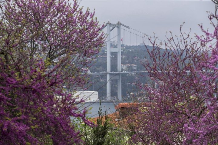 Erguvanlar turistlerin ilgi odağı oldu - 6