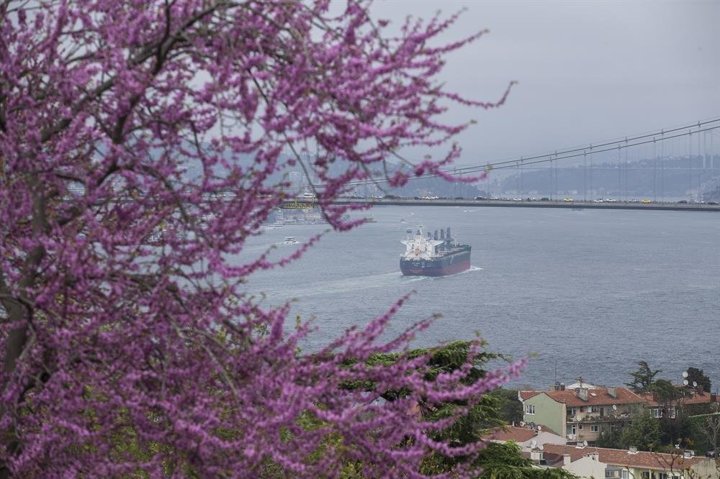 Erguvanlar turistlerin ilgi odağı oldu - 7