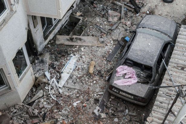 2015'in en kanlı saldırıları - 24