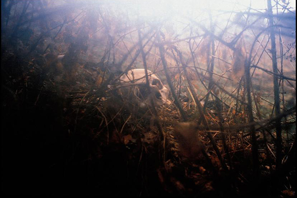 Bosna Savaşı'nın unutulmayan fotoğrafları - 12