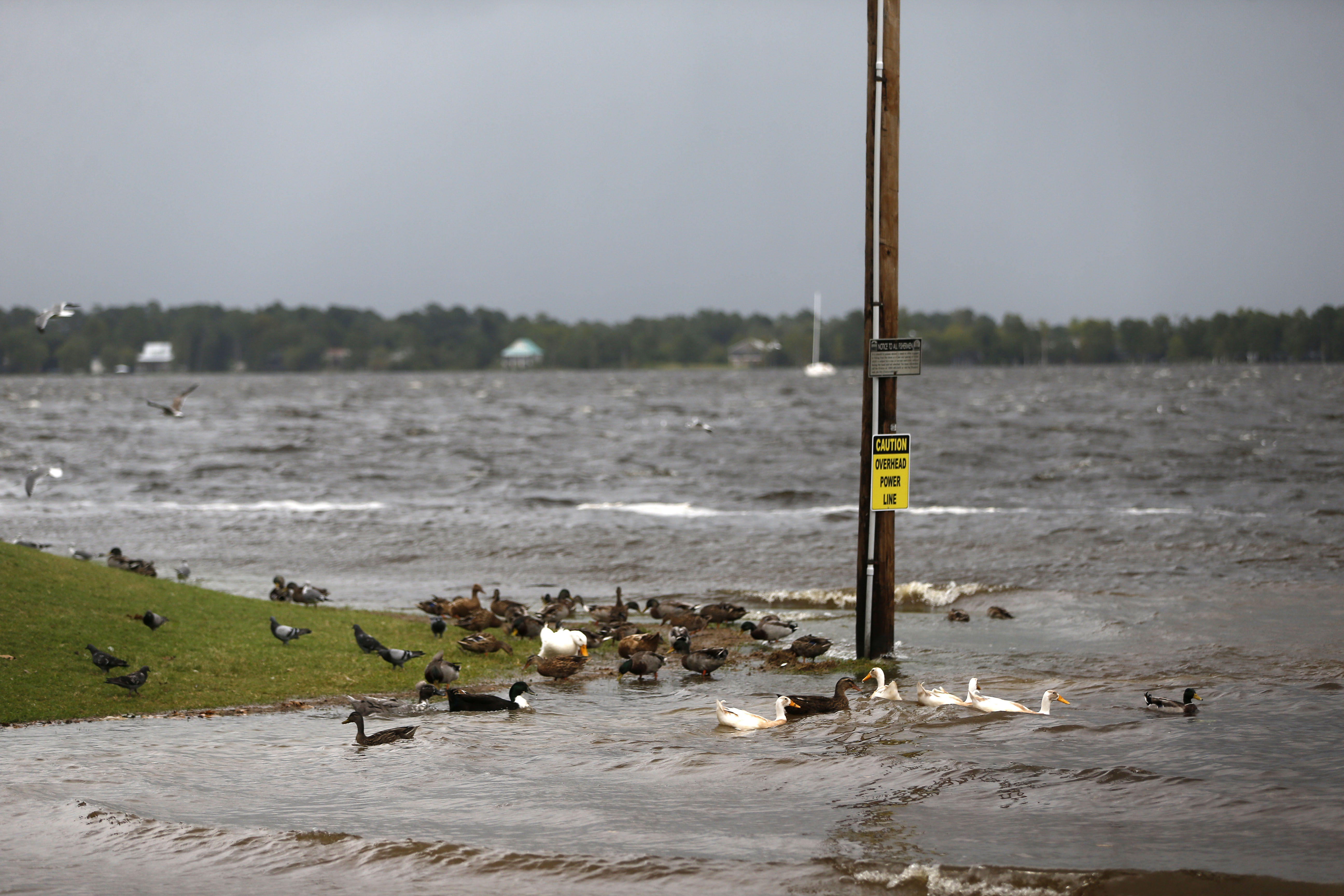 Florence kasırgası etkisini göstermeye başladı - 4