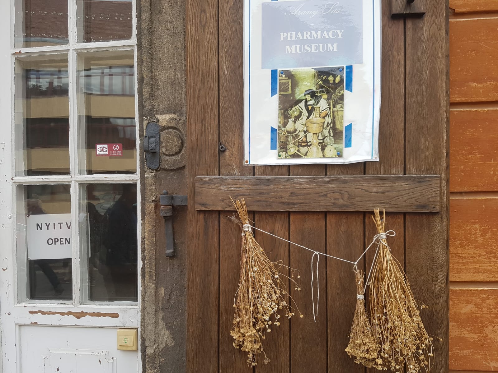 Alternatif Tıp Eczanesi - 2