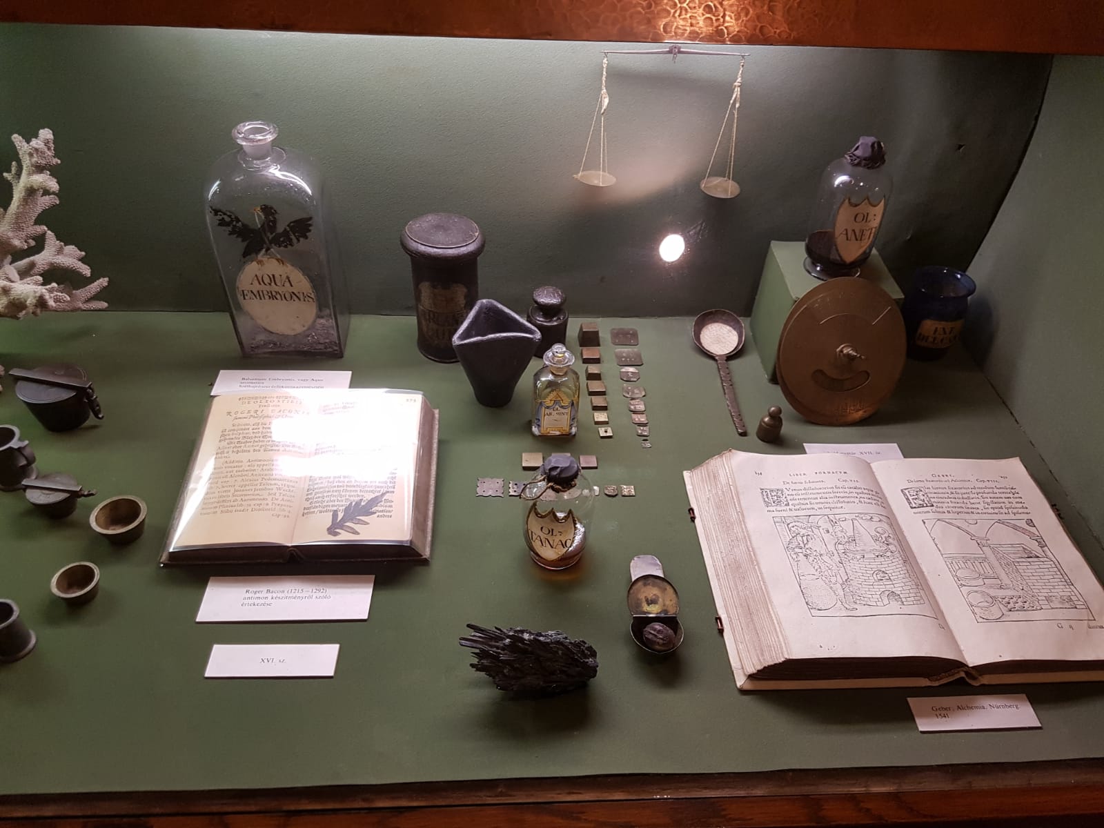 Alternatif Tıp Eczanesi - 6