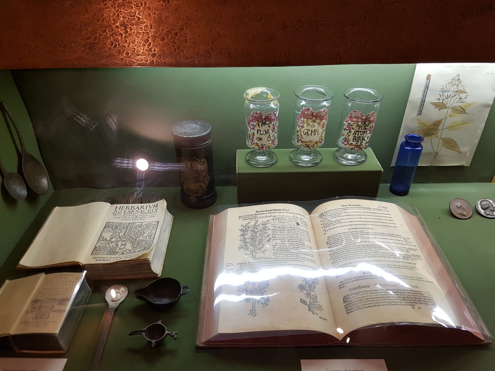 Alternatif Tıp Eczanesi - 9