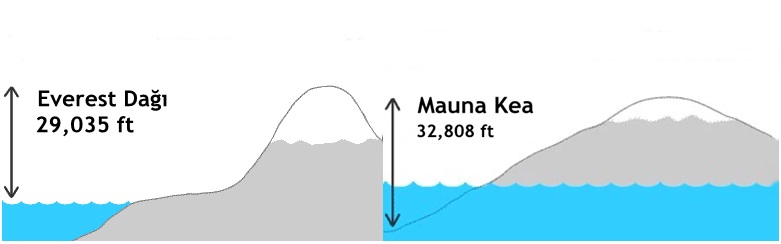 Duyduğunuzda çok şaşıracağınız doğru bildiğimiz yanlışlar - 2
