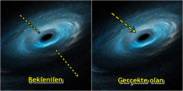 Duyduğunuzda çok şaşıracağınız doğru bildiğimiz yanlışlar - 8