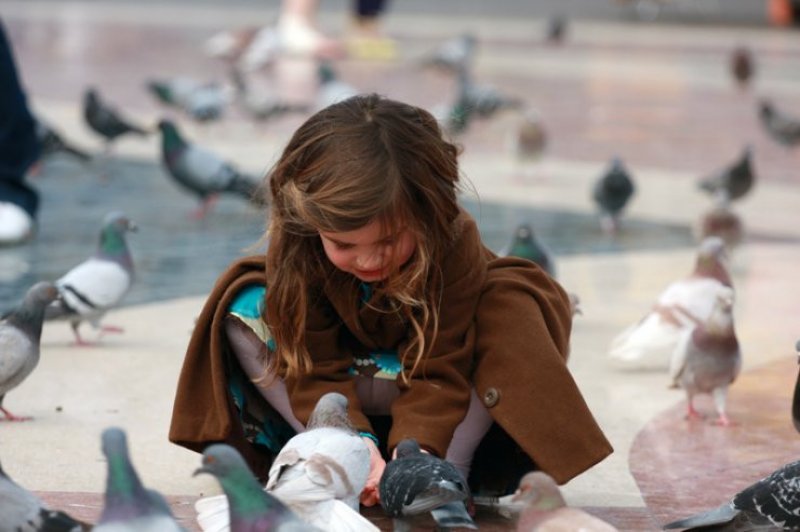 Dünyadaki en ilginç kurallar - 12