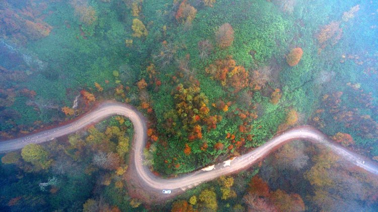 Batı Karadeniz yaylalarının sonbahar manzarası - 2