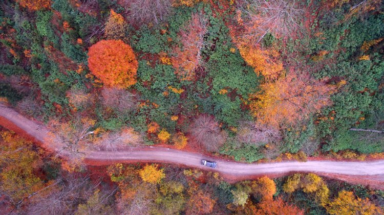 Batı Karadeniz yaylalarının sonbahar manzarası - 3